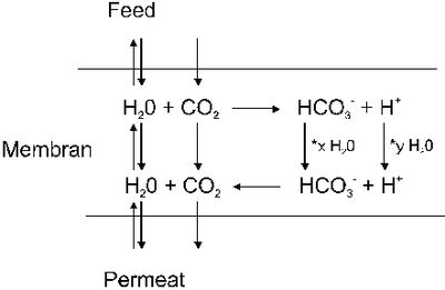 Abbildung 14: Kopplung von Wasser und CO2 Transport in Carrier-Membranen.
