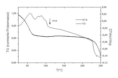 Abbildung 21: TGA/DTA, Epichlorhydrin-PEI-Polymer, Typ C4, feucht